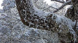 p1223515_thumb.jpg