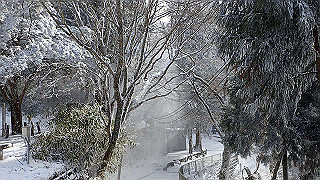 p1223517_thumb.jpg