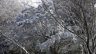 p1223518_thumb.jpg