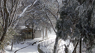 p1223519_thumb.jpg