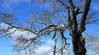 p1223520_thumb.jpg