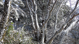 p1223523_thumb.jpg