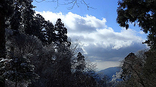 p1223526_thumb.jpg