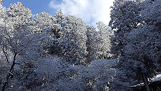 p1223533_thumb.jpg