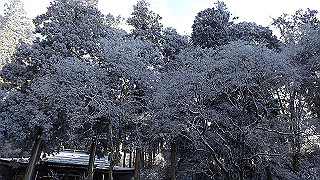p1223536_thumb.jpg