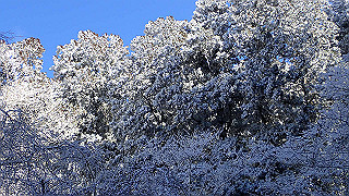 p1223541_thumb.jpg