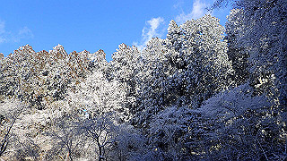 p1223543_thumb.jpg