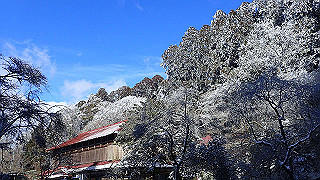 p1223550_thumb.jpg