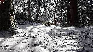 p1223554_thumb.jpg