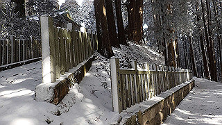 p1223562_thumb.jpg