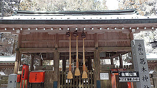 p1223566_thumb.jpg