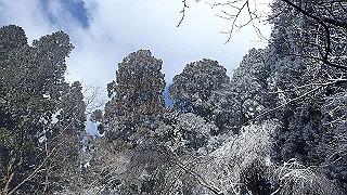 p1223574_thumb.jpg