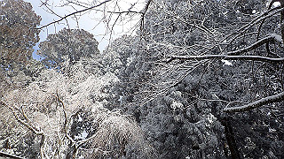 p1223576_thumb.jpg