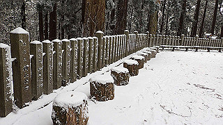p1223580_thumb.jpg