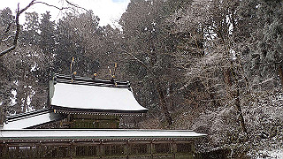 p1223584_thumb.jpg