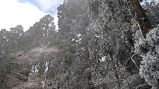 p1223585_thumb.jpg