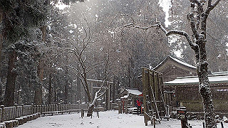 p1223587_thumb.jpg