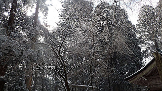 p1223589_thumb.jpg