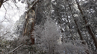 p1223592_thumb.jpg