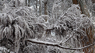 p1223593_thumb.jpg
