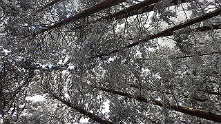 p1223594_thumb.jpg