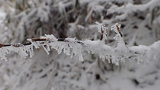p1223597_thumb.jpg