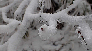 p1223598_thumb.jpg
