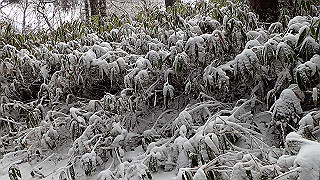 p1223599_thumb.jpg
