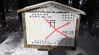 p1223603_thumb.jpg