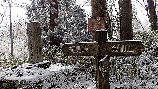 p1223604_thumb.jpg