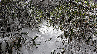 p1223606_thumb.jpg
