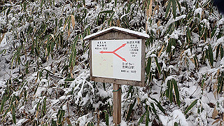 p1223611_thumb.jpg