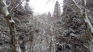 p1223615_thumb.jpg