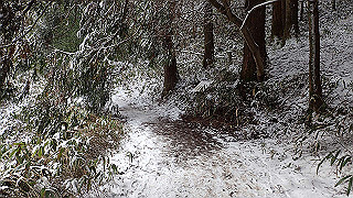 p1223616_thumb.jpg