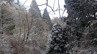 p1223617_thumb.jpg