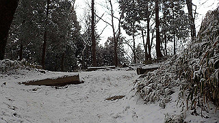p1223618_thumb.jpg
