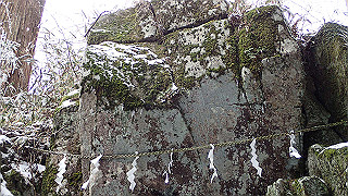 p1223623_thumb.jpg