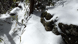 p1223626_thumb.jpg