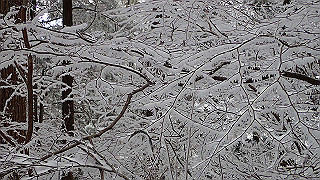 p1223628_thumb.jpg
