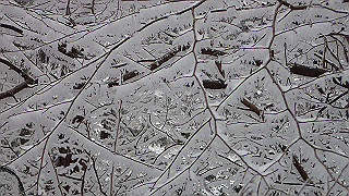p1223629_thumb.jpg
