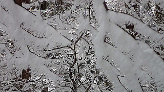 p1223630_thumb.jpg