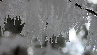p1223632_thumb.jpg