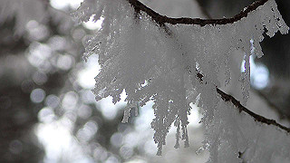 p1223633_thumb.jpg