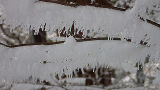 p1223635_thumb.jpg