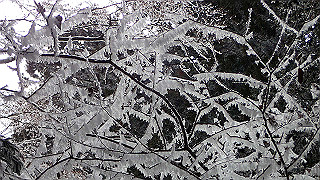 p1223636_thumb.jpg