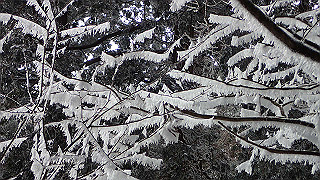 p1223637_thumb.jpg