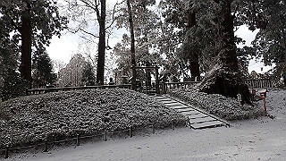 p1223639_thumb.jpg