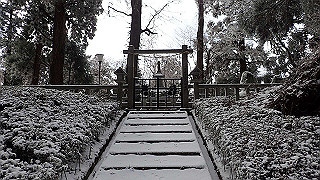 p1223640_thumb.jpg