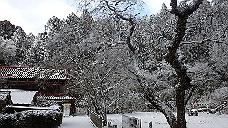 p1223643_thumb.jpg