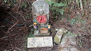 p1223654_thumb.jpg